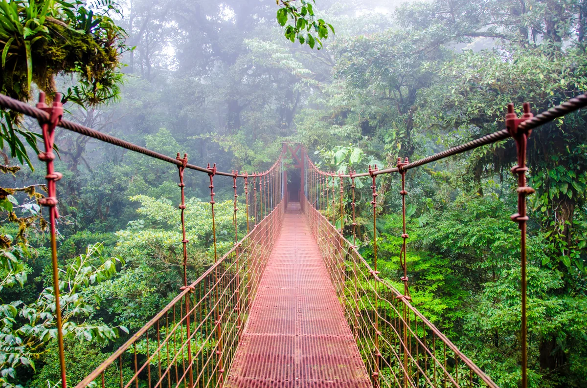 View of Monteverde - a perfect place to relax and enjoy the pool